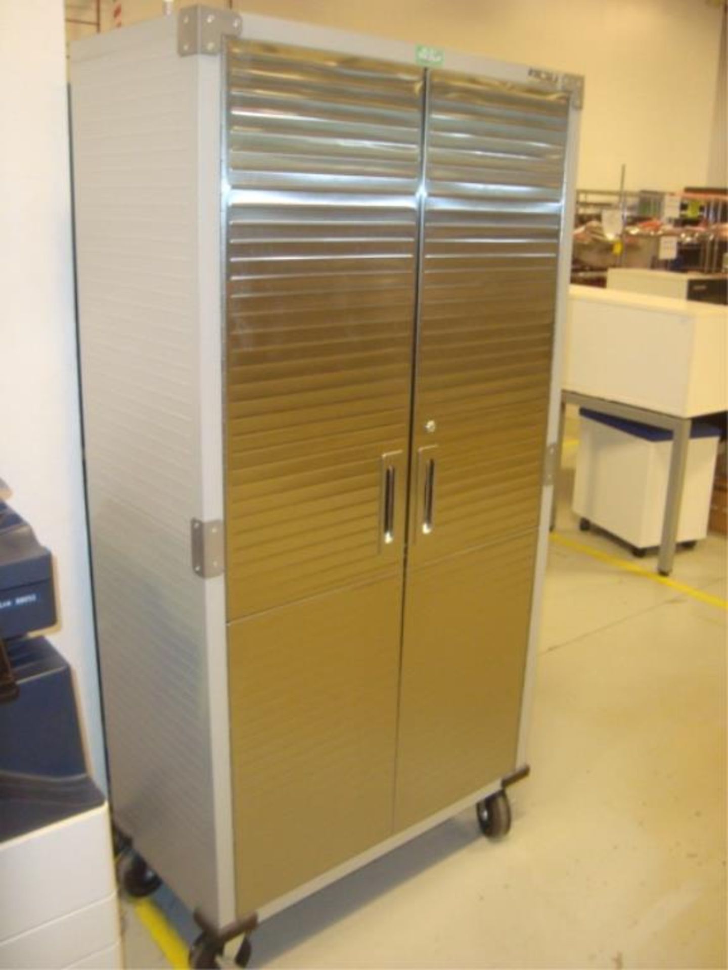 Mobile 2-Door Storage Cabinet With SS Doors - Image 6 of 9