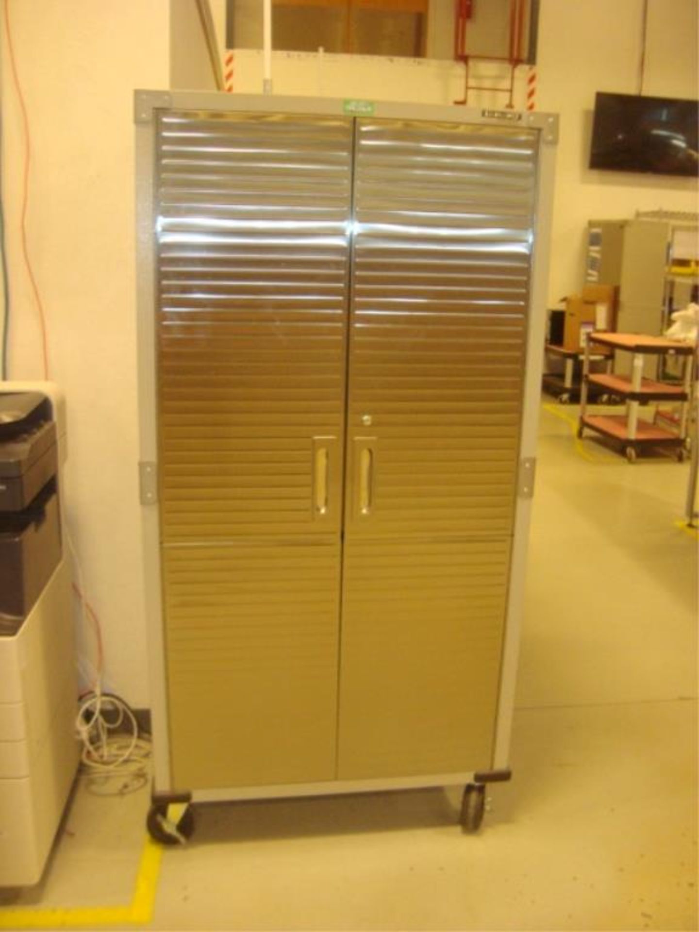 Mobile 2-Door Storage Cabinet With SS Doors - Image 9 of 9