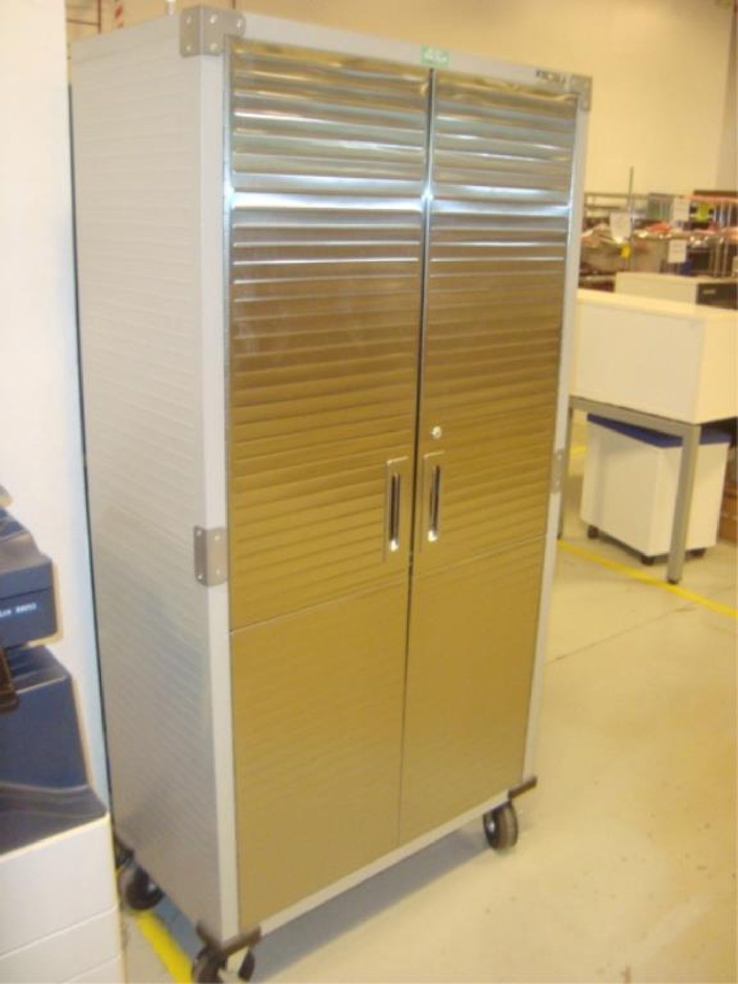 Mobile 2-Door Storage Cabinet With SS Doors - Image 6 of 8