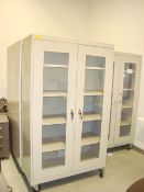 See Thru 2-Door Storage Cabinets