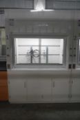 5' Fume Hood with General Storage Cabinets