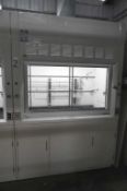 5' Fume Hood with General Storage Cabinets