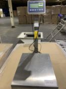 Mettler Toledo Head Floor Scale