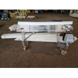 Dorner Belt Conveyor