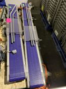 10" wide Conveyor System