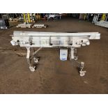 Dorner Belt Conveyor