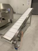 Sander Incline Conveyor