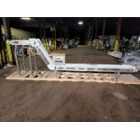 Dorner Inclined Conveyor