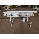 Dorner Belt Conveyor