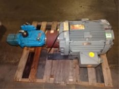 Vacuum Pump