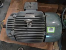 Teco Motor (New)