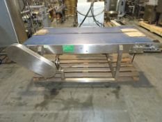 81”X 40” Stainless Steel Belt Conveyor