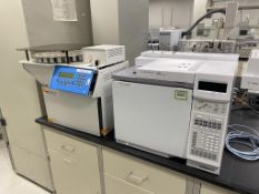 Agilent Gas Chromatograph System