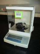 Mettler Toledo Balance