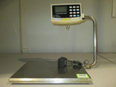 Arlyn Scales Scale