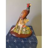 Border Fine Arts - Woodland Majesty (Pheasant On Tree Stump) + Certificate Of Authenticity