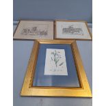 A Flower Print In Gilt Frame & 2 Needlework Pictures - Hexham Abbey & Durham Cathedral