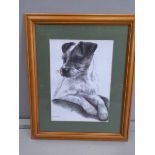 A Pencil Drawing Jack Russell Terrier In Pine Frame