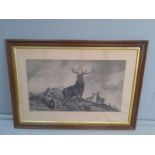 2 Black & White Prints In Oak Frames - Stags