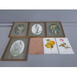 4 Framed Flower Prints & 6 Unframed Etc