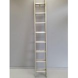 An Aluminium Extension Ladder