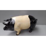 A Metal Saddleback Pig Money Box