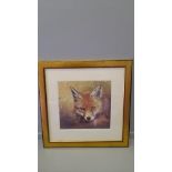 A Print - Fox By Mark Irving