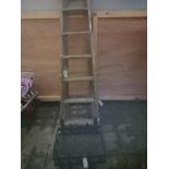 Dog Grate & Wood Step Ladder