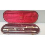 3Pc Silver Horn Handled Carving Set In Case