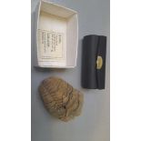 Moroccan Fossil In Box & Lipstick Case