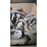 Quantity Of Tup Horns