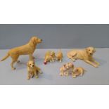 2 Border Fine Arts Labradors & 3 Others