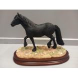 Border Fine Arts 'Cumbrian Fell Pony' Model No B0812 By Kirsty Armstrong Limited Edition 307/750 On