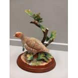 Border Fine Arts 'Grey Partridge' Model No B1030 By R Ayres Limited Edition 79/250 On Wooden Base