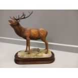 Border Fine Arts 'Red Stag' Model No L20 By R Ayres Limited Edition 413/750 On Wooden Base