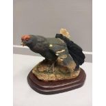 Border Fine Arts 'Black Grouse' Model No 044 By D Geenty On Wooden Base