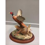 Border Fine Arts 'Taking Flight' Model No B0183 By D Walton Limited Edition 1430/2500 On Wooden Base