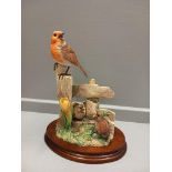 Border Fine Arts 'Robin & Chicks' Model No B0345 On Wooden Base