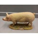 Border Fine Arts 'Large White Sow' Model No 107 By R Ayres