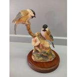 Border Fine Arts 'Willow Tits' Model No L24 By Anne Wall Limited Edition 61/850 On Wooden Base