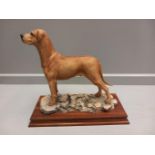 Border Fine Arts 'Rhodesian Ridgeback' Model No L27 By D Geenty Limited Edition 55/500 On Wooden Bas