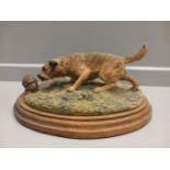 Border Fine Arts 'Border Terrier & Hedgehog' Model 066 By D Geenty On Wooden Base
