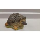 Border Fine Arts 'Hedgehog' Model No 004 (1978) By Anne Wall