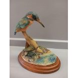 Border Fine Arts 'Kingfisher' Model No 043 By Ray Ayres On Wooden Base