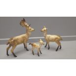 Beswick 'Fallow Deer Family' Standing Stag 981, Doe 999A, Fawn 1000B Stamped Beswick England