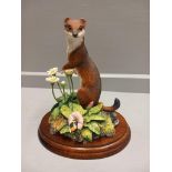 Border Fine Arts 'Stoat' Model No B0981 By R Ayres (Signed) Limited Edition 56/250 On Wooden Base Wi