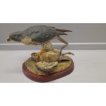 Border Fine Arts 'Peregrine Falcon' Model L01 By V Hayton Limited Edition 55/250 On Wooden Base With