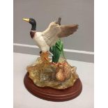 Border Fine Arts 'Lifting Off' Model B0182 By D Walton Limited Edition 456/2500 On Wooden Base With