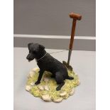 Border Fine Arts 'Lakeland Terrier' Model No DM5 By R Ayres