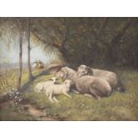 Landschaft mit Schafen und zwei in der Ferne sitzenden Hirten